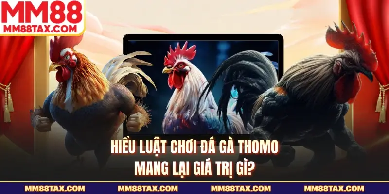 Luật Chơi Đá Gà Thomo - Đọc Chuẩn Để Vào Trận Tại MM88 2 Hiểu luật chơi đá gà Thomo mang lại giá trị gì?