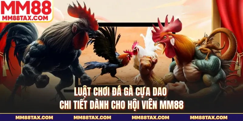 Luật Chơi Đá Gà Cựa Dao Chi Tiết Dành Cho Hội Viên MM88 1 Luật chơi đá gà cựa dao