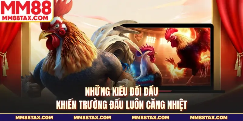 Những kiểu đối đầu khiến trường đấu luôn căng nhiệt